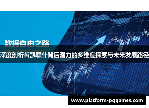 深度剖析哲凯赖什背后潜力的多维度探索与未来发展路径