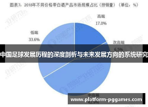 中国足球发展历程的深度剖析与未来发展方向的系统研究