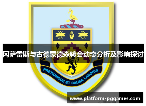 冈萨雷斯与古德蒙德森转会动态分析及影响探讨
